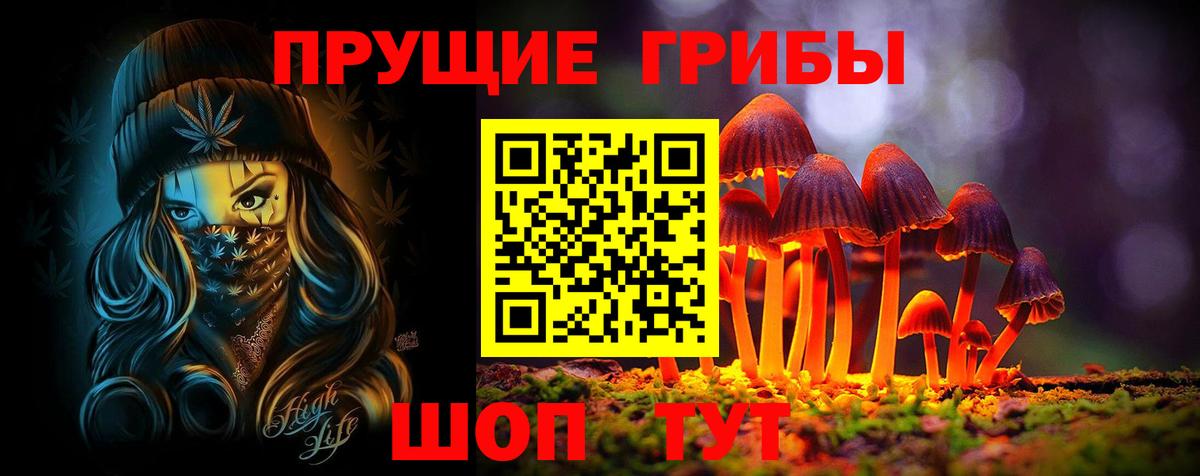 Псилоцибиновые грибы Psilocybine cubensis Новоуральск