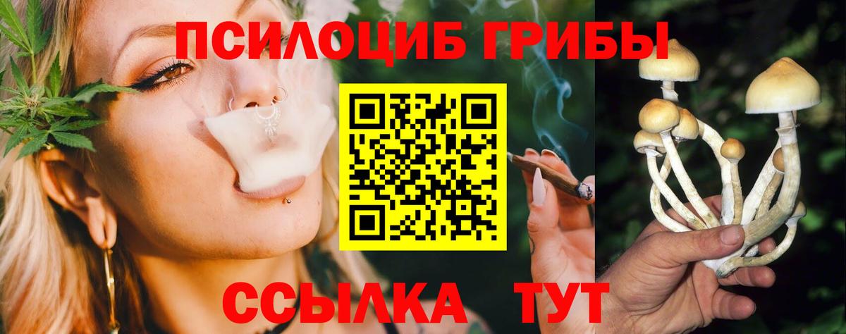 Псилоцибиновые грибы Magic Shrooms  Новоуральск  цена   Псилоцибиновые грибы Cubensis 