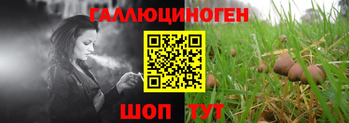 Новоуральск  Псилоцибиновые грибы Cubensis  Вход с VPN 